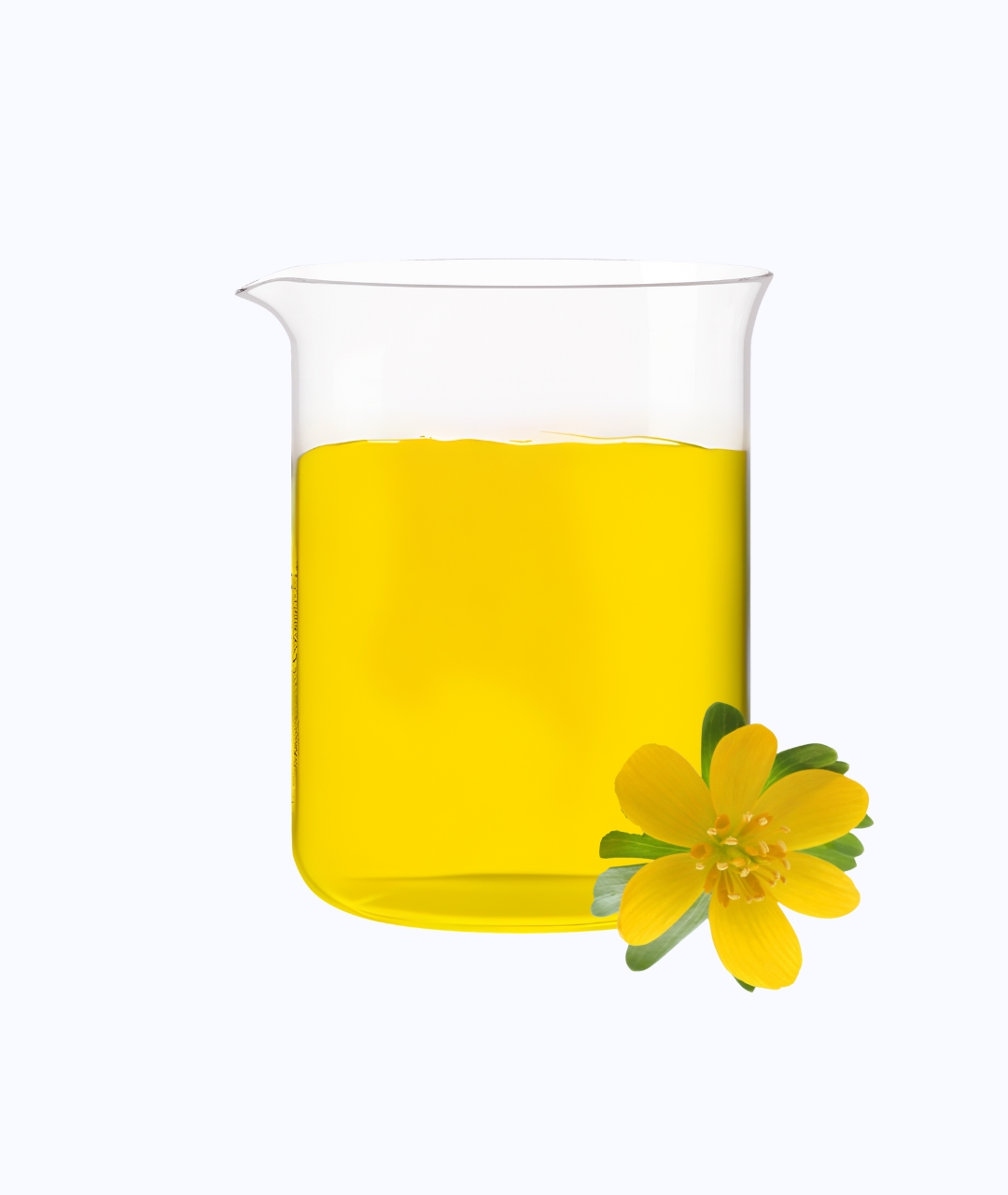 Primrose oil