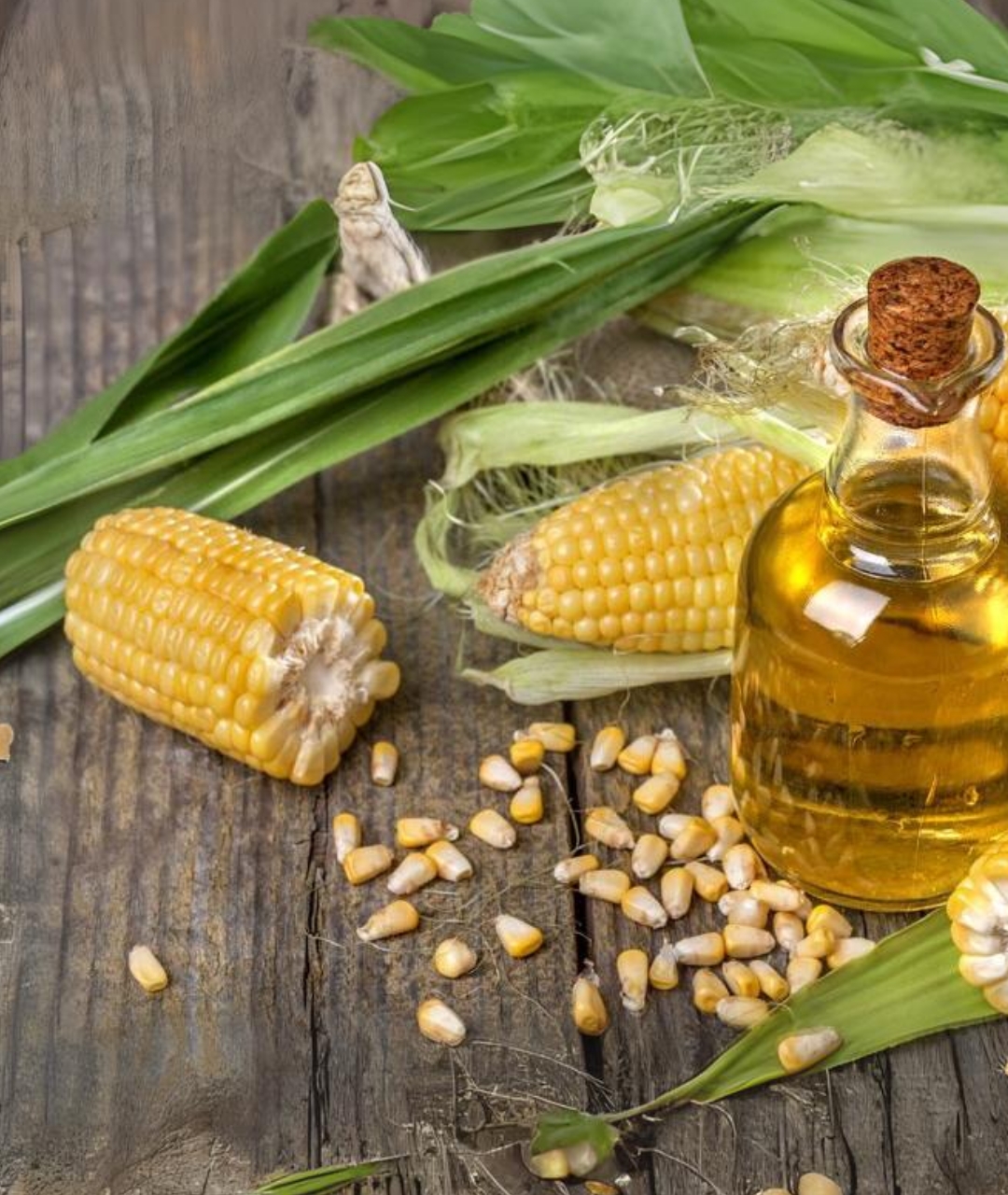 Corn oil