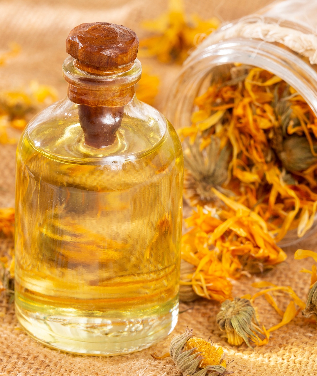 Calendula oil