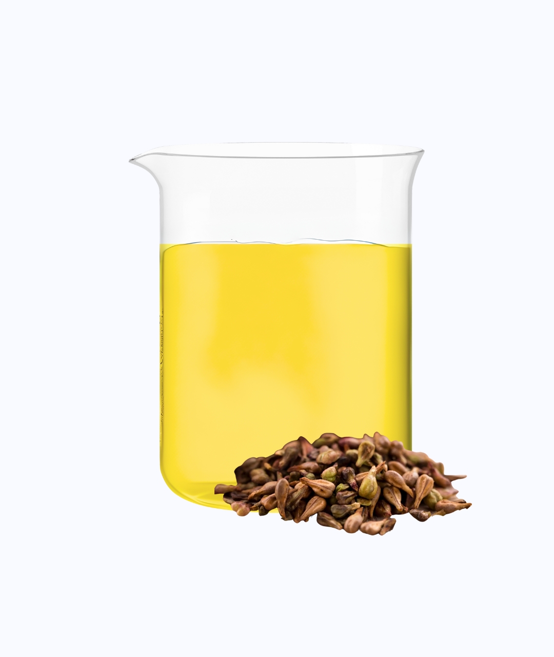 Refined Grape Seed Oil