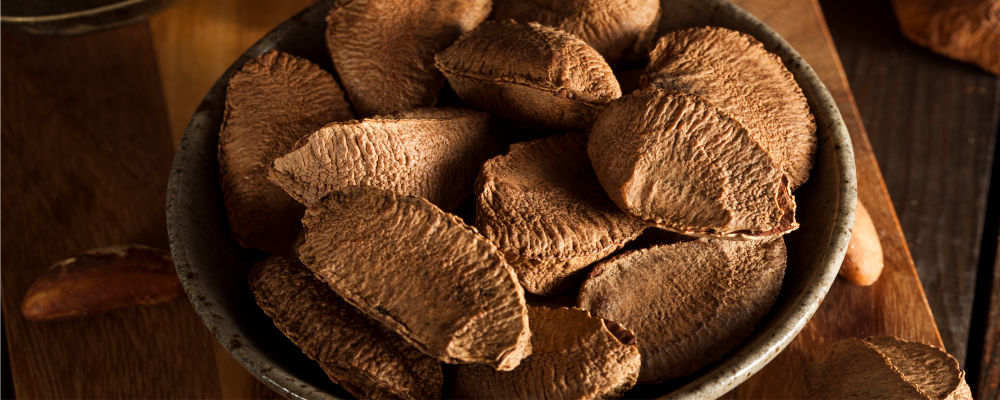 Concepta Ingredients Apresenta ao Setor de Food Service o Óleo de Castanha-do-Brasil Orgânico