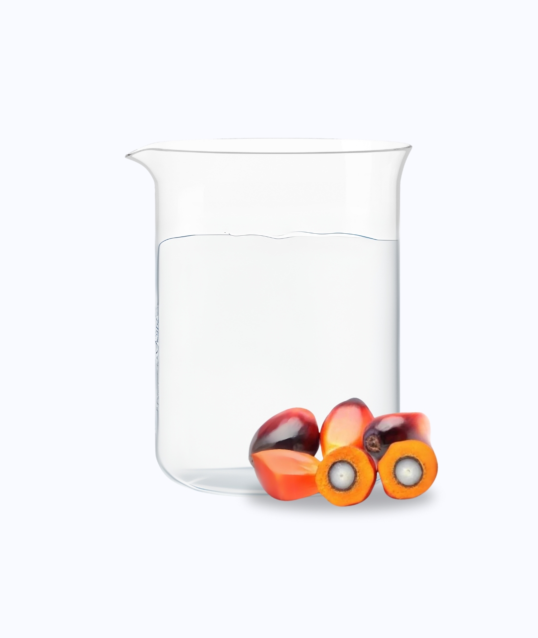 Palm MCT: Medium Chain Triglyceride (MCT)